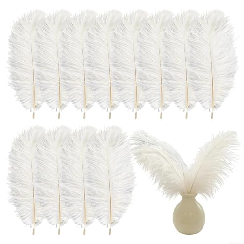 12 Pcs Ostrich Feathers Natural White Feathers for Crafting 20-25cm Large Fluffy Feather for Wedding Party Home Table Decoration DIY Crafts