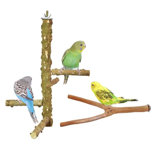 2 PCS Bird Perch Stand Parrot Cage Branch Perch Natural Prickly Ash Wood Perch Stand and Y Shape Azalea Wood Bird Stand for Cockatiels Parakeets Macaws Finches Conures Love Birds