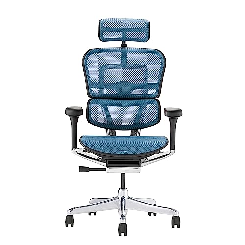 Ergohuman2 (GSq[}2) V v nC^Cv iCLX^[ u[bV/ubNt[ EHP2-HAM-DR-BF-BL 445439