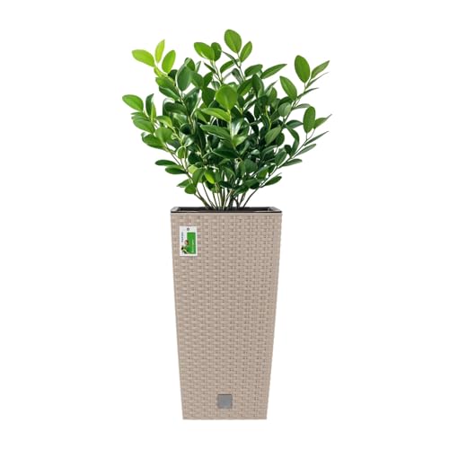 PAFEN Hoher Blumenkübel 16,3l – 22,5 x 22,5 x 42,1 cm -...