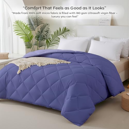 Image of AYKA Reversible AC Comforter 150 GSM Lightweight Microfiber Summer Blanket for Single Bed (60x90 Inches) | Soft Cooling Quilt, Breathable All Season Duvet for AC Room | Lavender & Blueberry