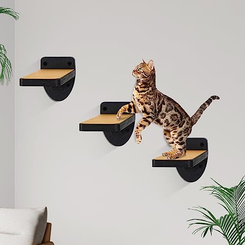 Cat Wall Steps The 15 best products compared Wild Explained