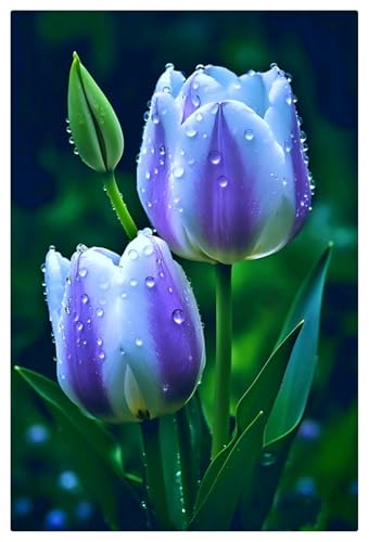 Tulip Plants for Sale,Tulip Bulbs Mix,Good for Containers/Cut Flowers/Greening Flower/Natural Organic/Tulip Plants Bulbs/Wedding Flowers-3bulbs-A