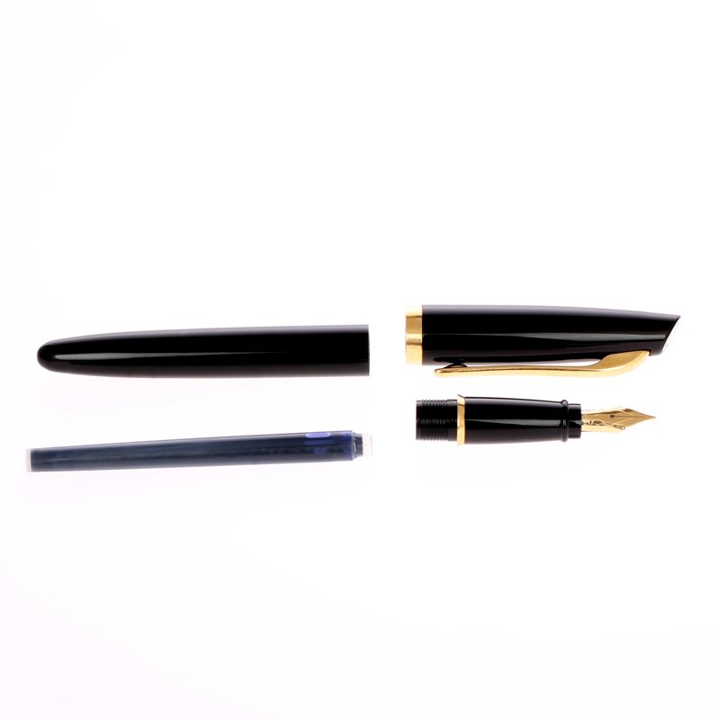 Aurora E12-DN penna stilografica Nero, Oro