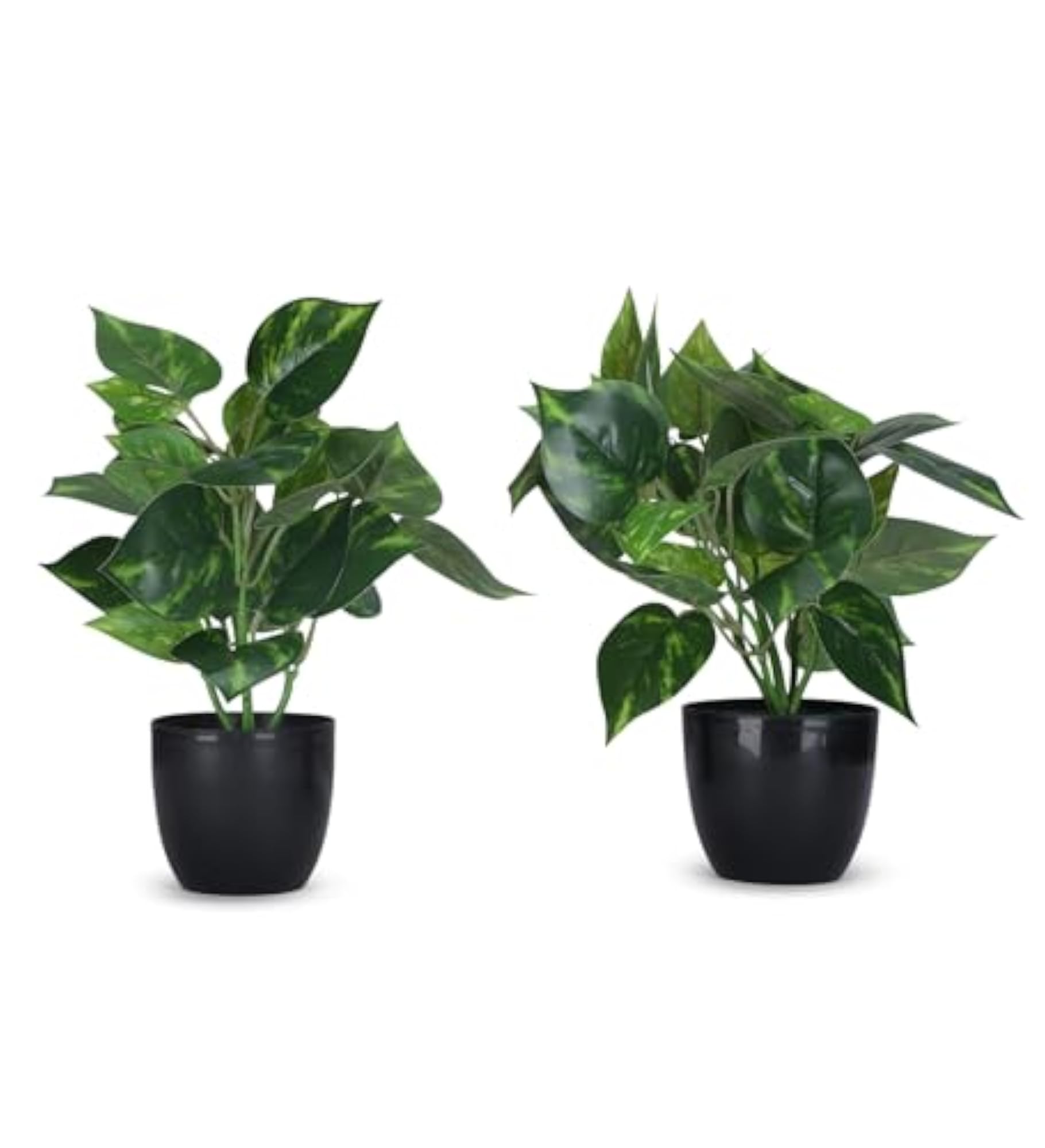 Artificial Money Plant in Black Pot - Set of 2