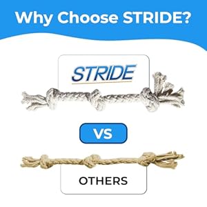   Stride-Small-Dog-Toys-Pack-of-14-Rope-Toys-Set-for-Small-Medium-Dogs-Non-Toxic-Dye-Free-Cotton-Chew-Toys-for-Puppy-Interactive-Puppy-Teething-Dog-Toys-Durable-Toys-for-Anxiety-Boredom