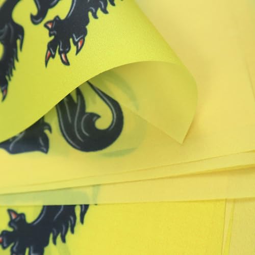 Image of AZ FLAG Flanders 6 meters BUNTING Flag 20 flags 9'' x 6'' - Belgium - Flemish STRING flags 15 x 21 cm
