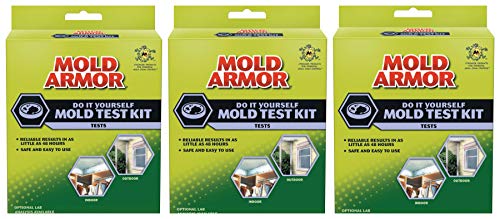 10 Best Mold Test Kits For Mold Detection Huntforbest