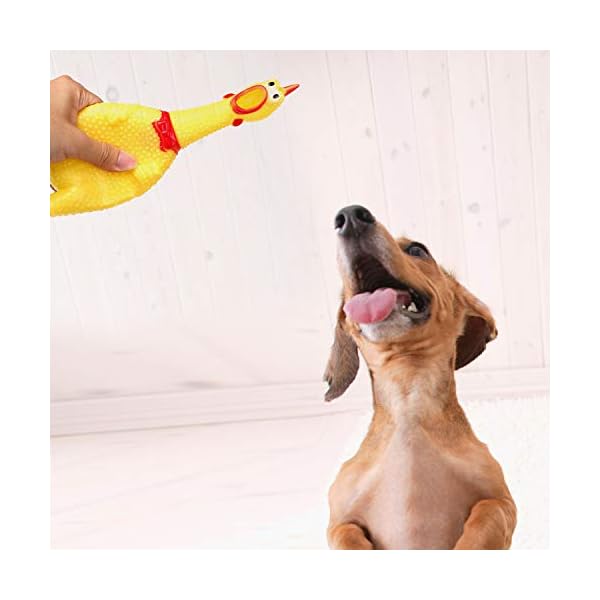 LEGEND-SANDY-Screaming-Chicken-Dog-ToysYellow-Rubber-Squaking-Chicken-Toy-Novelty-and-Durable-Rubber-Chicken-for-DogsRubber-Chickens-Value-3-Pack LEGEND SANDY Screaming Chicken Dog Toys - Value 3 Pack