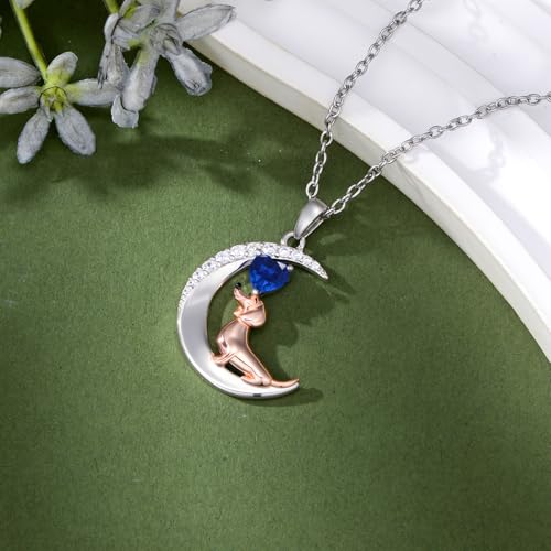 Image of PROESS Animal Birthstone Necklace 925 Sterling Silver Otter /Axolotl /Hippo /Elephant /Dachshund /Monkey /Red Panda Pendant Necklace Animal Birthstone Jewelry Gifts for Women