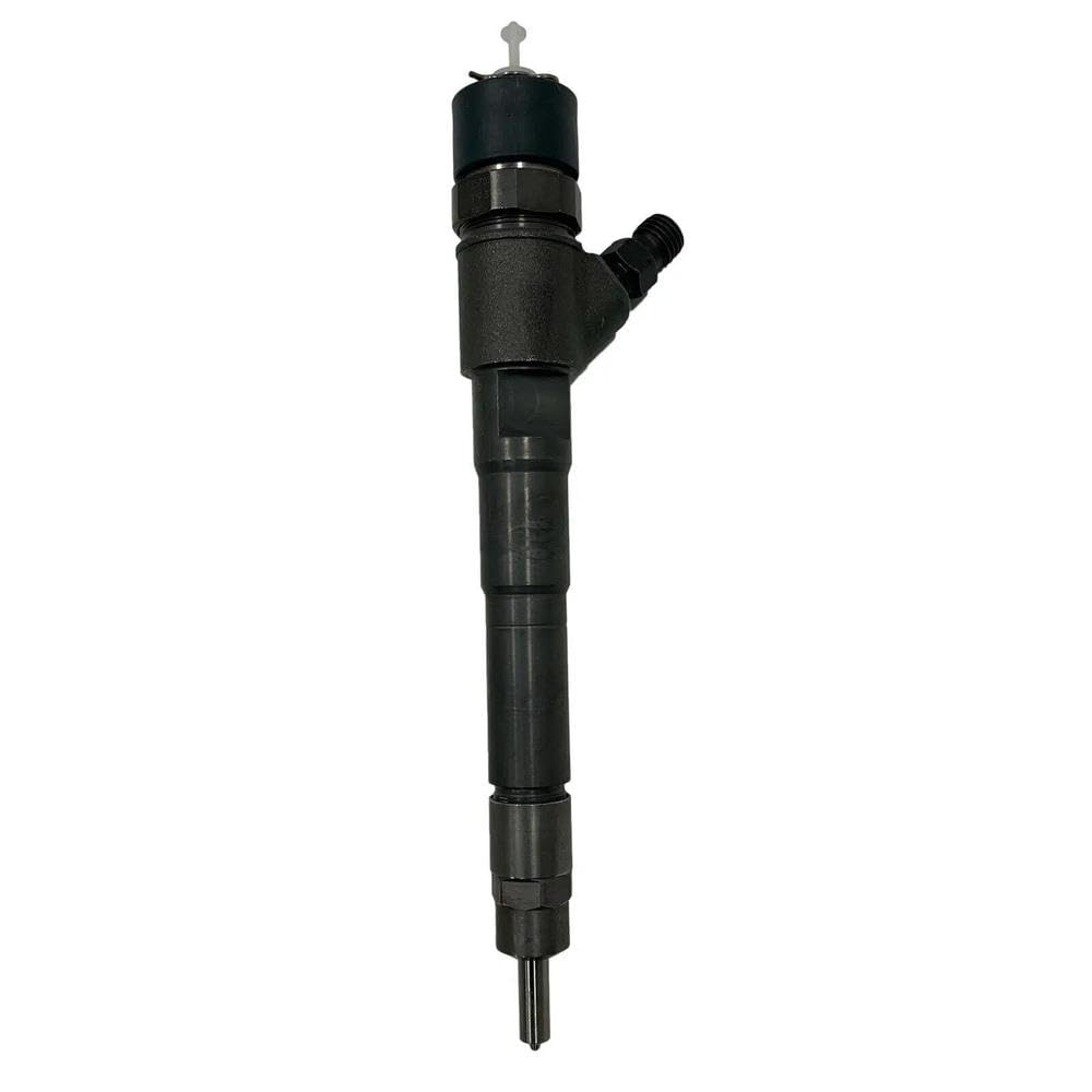 piezas del motor 0445110248 Inyector De Combustible Diésel Para Fiat Ducato Para Peugeot Boxer Para Daily 3.0 D