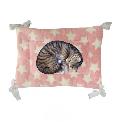 JOYFUSION ybg }bg P[Wp L xbh Lbg^[ lRt Ȃ 􂦂 Lbg^[ 􂦂  ybgxbh (sN)