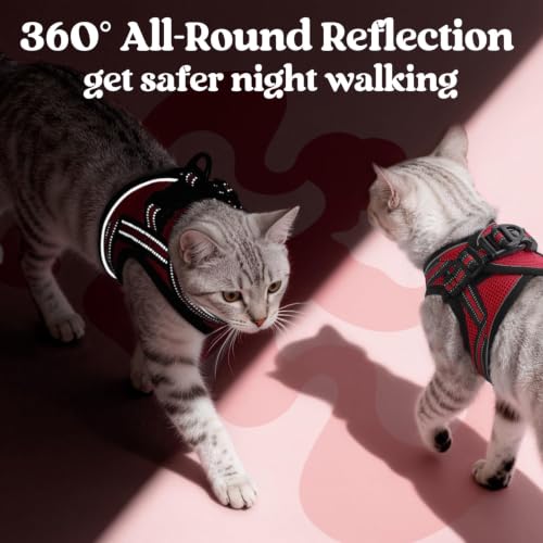 Image of rabbitgoo Cat Harness and Leash Set, Step-in Soft Vest, Red | Escape Proof, Lightweight, Easy-on & Adjustable, Hook & Loop with Buckle, Reflective, for Small Cats Walks, L
