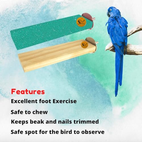 Image of Sage Square Wooden Stand Sand Platform Made of Natural Wood, Combo of Two (2*5.5 & Sand 2*5.5 inch) Rectangle Shaped Perch Stand, Cage Accessories, Playful Toy, Suitable For Birds, Parrots, Budgies