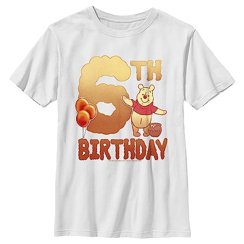 Boy's Winnie The Pooh 6th Birthday Pooh Bear T-Shirt