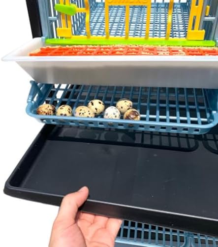 Jumbo Quail Breeding Cage Indoor: Double Layer Addition for Stackable Quail Coop, Rust-Free, Easy Egg Collect (2024: Longer Waste Trays, Removable Middle Walls) Cimuka (Jumbo) - 3