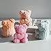 Midnadiy Extra Large Rose Bear Candle Mold - 3D Teddy Bear Candle Making Molds, Cute Epoxy Resin Molds for DIY Candle, Handmade Soap, Valentine's Day Gift, Mother's Day Gifts, Birthday Gifts