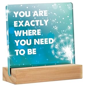 Inspirational Desk Sign – Motivational Desk Decor for Office Cubicle – You Are Exactly Where You Need to Be Clear Desk Decorative Sign Home Office Desk Decor Acrylic desk sign(4 x 4 Inches)