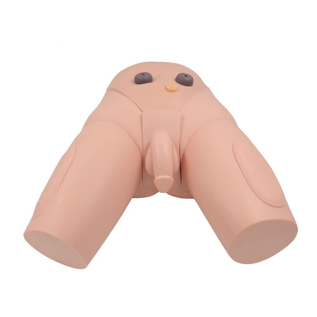 Mannequin De Cathétérisme Masculin Avancé, Modèle De Cathétérisme Féminin, Supports Pédagogiques Anatomiques Remplaçables, Modèle De Formation en Soins Infirmiers pour Le