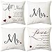 ARNTY Lot de 4 Housse de Coussin 45x45cm, Moderne Taies d'oreiller Décoratif Canapé Coussin Canape pour Chambre, canapé, Chaise, Lit,Jardin (Amour de Couple-Velours)