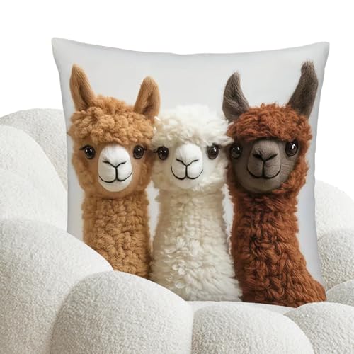 �����p�N�b�V�����J�o�[ | �A�j�}���v�����g �G�X�e�e�B�b�N �z�[���f�R | �\�t�g�\�t�@�N�b�V���� ���[�V���� - ���r���O���[�� �J�E�` �\�t�@ �x�b�h �`�F�A �I�t�B�X �J�[ �t�@�[���n�E�X �z�e�� �A�p�[�g �� �z���f�[ �p