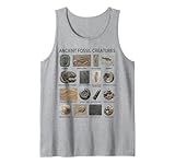 Paléontologie, fossiles, vie préhistorique, créatures préhistoriques, animaux anciens, espèces éteintes, sciences fossiles, histoire naturelle, histoire de la terre, temps géologique, enregistrement fossile, art de paléontologie, illustration fossile, diagramme fossile, graphique préhistorique