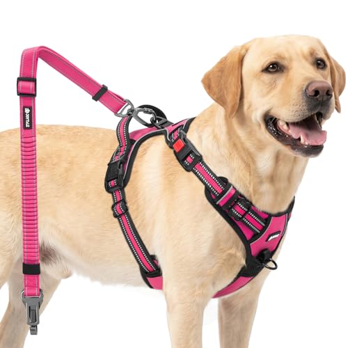 Joytale No Pull Dog Harness and Car Seat Belt Set, Padded 3-Buckle Easy On for Large Dogs, Reflective Vest with Front Clip & Control Handle for Stress-Free Walks & Safe Travel, Hot Pink, L