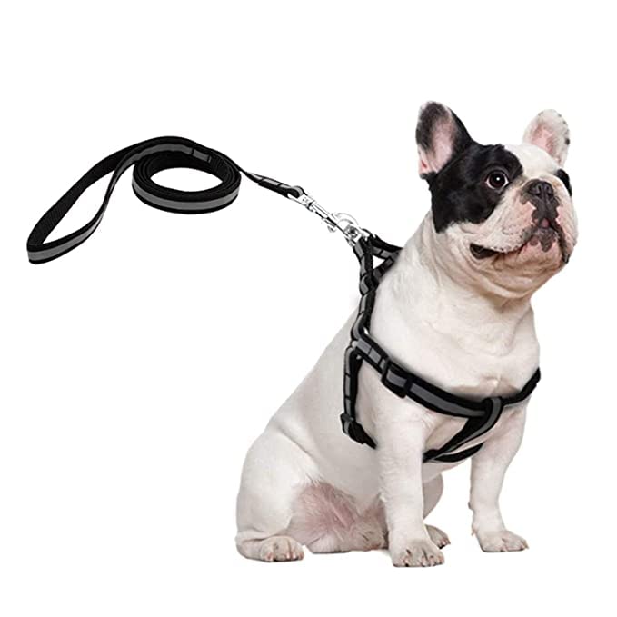 RvPaws 15 MM Reflective Nylon Dog Harness and Leash Set for Puppies and Dogs (Color May Vary) (B0BMLW9D2Y) Amazon Price History, Amazon Price Tracker