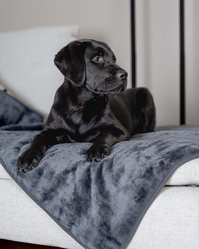 TrendPet Pearl, wasserdichte Decke, Kuscheldecke, Hundedecke, Sofadecke, Bettdecke (220x120 cm)