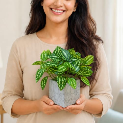 Image of fancymart Artificial Plant with Real-Touch Leaves in Pot, 25 cm, Indoor Tabletop Item for Home Decor, Office, Living Room