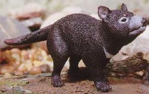 Science and Nature 75459 Australian Tasmanian Devil (Large) - Animals of Australia Realistic Carnivore Toy Replica