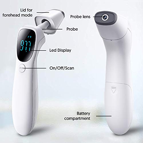 https://m.media-amazon.com/images/I/414LCAF4cFL._SL500_.jpg