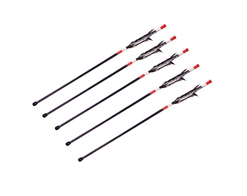 Preisvergleich Produktbild Holzspielerei Holzpfeile (5 Indianerpfeile Propfen 50 cm)