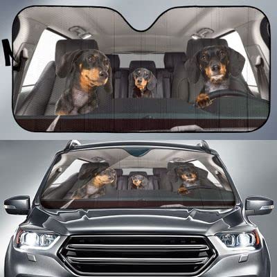 Protecteur de pare-brise imperméable et anti-UV pour garder la voiture fraîche