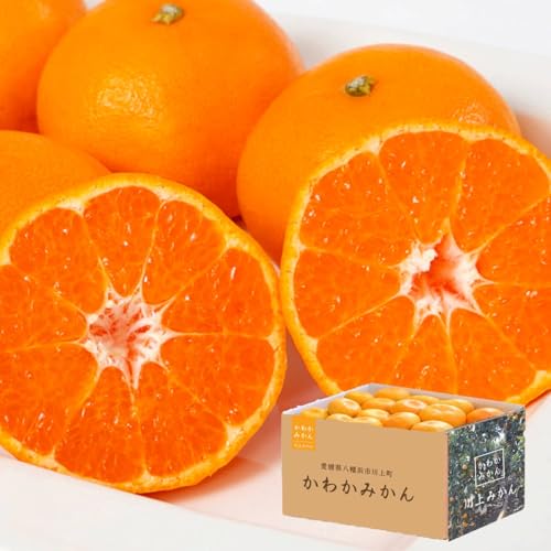 みかん 愛媛 川上 かわかみ 天皇杯 受賞産地 八幡浜 国産 訳あり ご家庭用 にしうわ ミカン 蜜柑 訳あり5kgのサムネイル