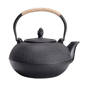 鉄器急須 南部鉄 鉄瓶 急須」の人気商品一覧 | 安い商品を通販サイトから探す