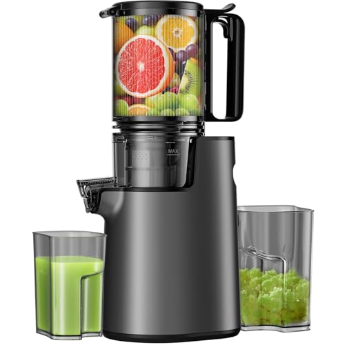 LQZ Cold Press Juicer,Slow Masticating Juicer Machines,350W Juice Extractor Machine,5.3″ Large Bore Feed Chute Fit Whole Vegetables and Fruits,Easy to Clean Juicer