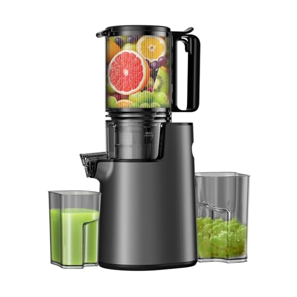 LQZ Cold Press Juicer,Slow Masticating Juicer Machines,350W Juice Extractor Machine,5.3″ Large Bore Feed Chute Fit Whole Vegetables and Fruits,Easy to Clean Juicer