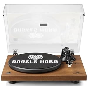 Angels Horn HP-H002 Plattenspieler Bluetooth 33/45 U/min