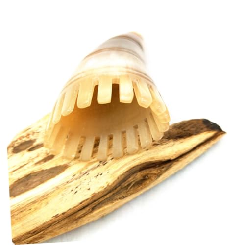 PATKAW Peine De Masaje Para El Cabello Peine De Cuerno Portátil Peine De Pelo Para Mujer Peine De Pelo De Cuerno