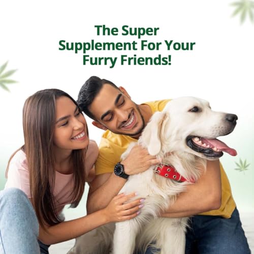 Image of Hampa Hemp Seed Oil for Pets-50 ml | Wholesome Nutrition for pet Dog, Cat | Rich in Omega 3, 6 & Antioxidants | Maintains Healthy Skin & Boost Immunity | Helps in Pain Relief, Stress Calming, Anxiety