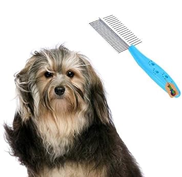 DreamAuro 2 in 1 Adjustable Dog Brush/Pet Comb for Grooming Cum Massager & Safety for Pets from Mites/Lice/Ticks for Dog/Puppy/Kitten/Cat (Blue)