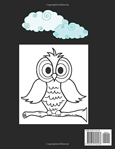 Owls Coloring Book for Kids with Facts: Cute Owls Coloring Book for Toddler and Kids Ages 3-8,Doodles Adorable Hedgehogs Hermit Crabs Art Activities ... for Adults,Advice on Choosing Color image 3