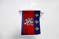 Vista 278 de Guatemala 19.7 ft BUNTING Flag 20 banderas 9'' x 6'' - Banderas de cuerda guatemalteca 5.9 x 8.3 in - AZ FLAG