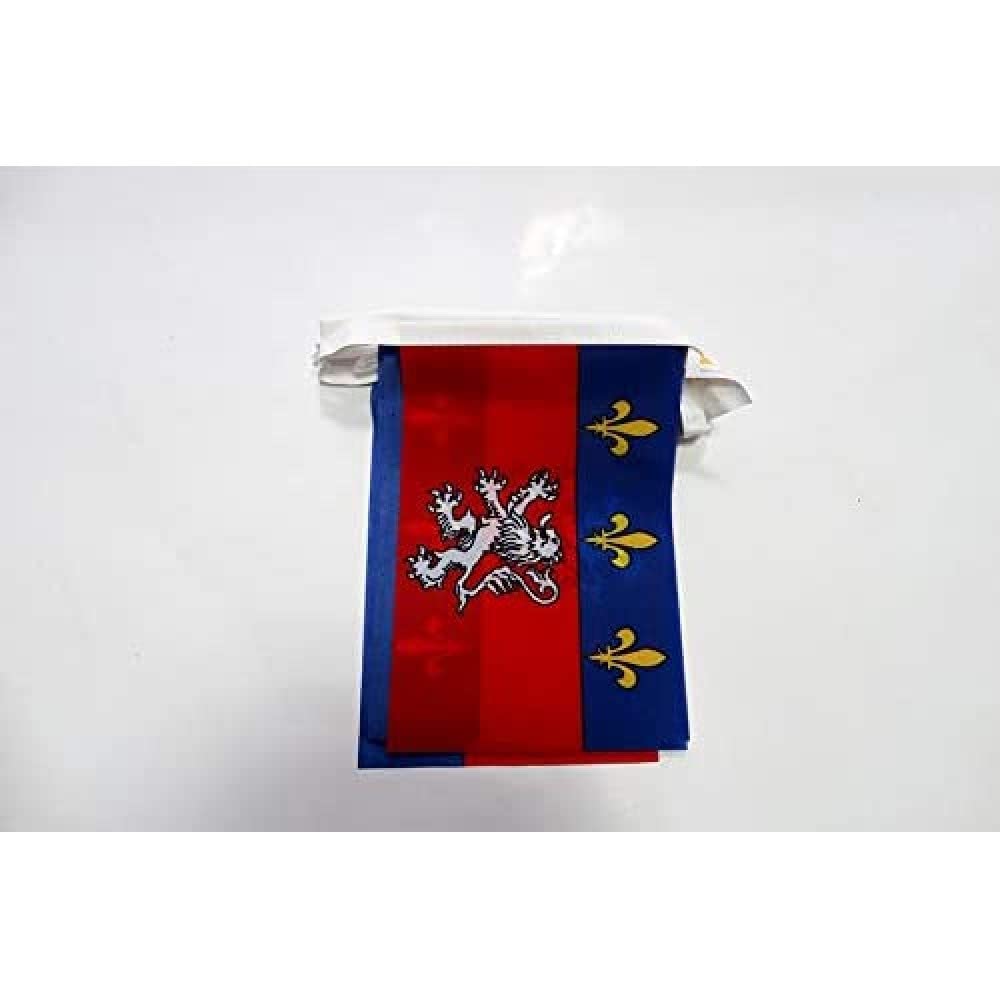 AZ FLAG French Province of Lyonnais Bunting 20 ft 20 flags Light Polyester