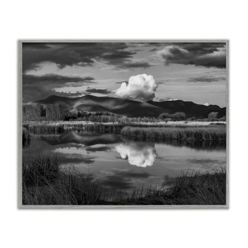 'Puffy Cloud Over Mountain Grassy Marsh'| Framed Giclee Art