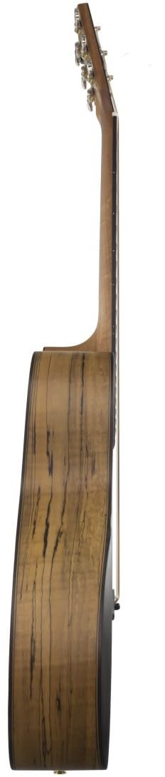 Shape Orchestra 588S-MT-CEB Guitare folk