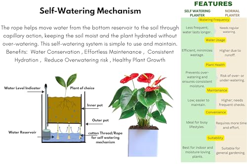 Image of Indian Discovery Self Watering Tabletop Planter| Flower Pots for Home, Terrace, Balcony, Vertical Garden Decor Flower Pots(1 PC, White, Square) |6 Inch UV-Resistant Plastic Plant Pots