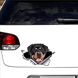Zoom IMG-1 rottweiler adesivo 3d impermeabile riflettente