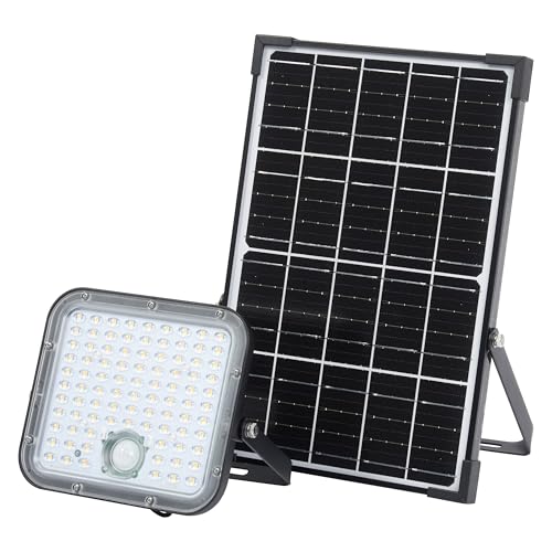 Osram LED-Solar-Außenleuchte Endura Outdoor schwarz mit Flutlicht und...